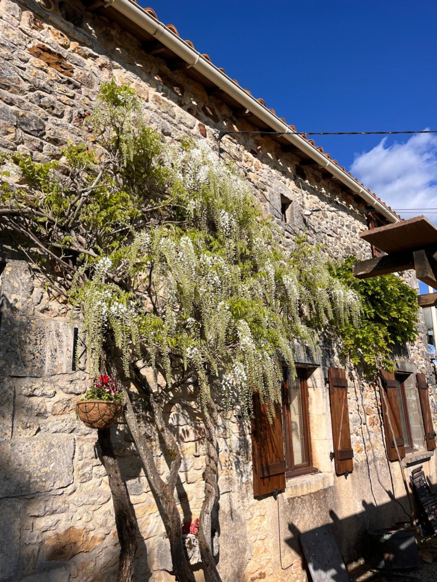 Le Plantier 1 Apartment Beaulieu-sur-Sonnette Exterior photo